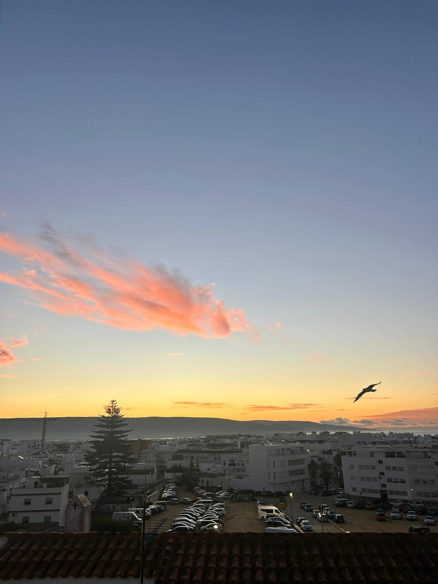 Apartamento Avenida De La Mar Barbate Eksteriør bilde